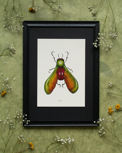 Werk van Emma Gandolfi Visual Artist